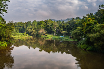 Fototapeta na wymiar Tropical landscape with river and jungle reflections in Sri lanka