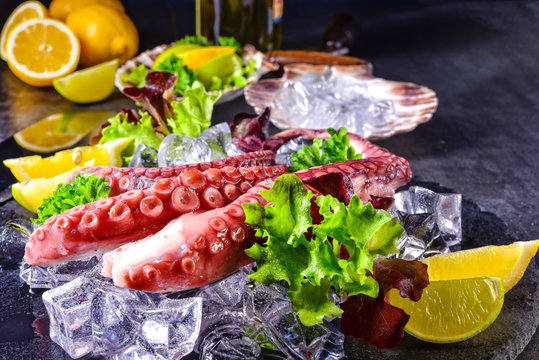 raw octopus on the ice