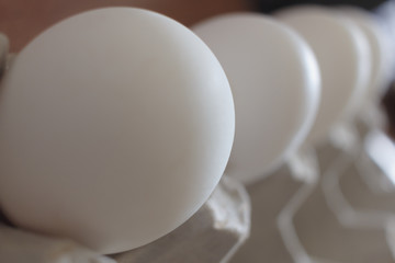 Eggs concept. White eggs standing on a line. Selective focus.