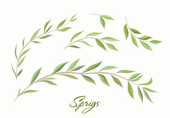 Handdrawn Vector Watercolour style, nature illustration. Set of  leaves and branches, Imitation of watercolor, isolated on white. 

