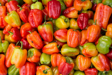 multi-colored peppers for sale in the weekly market of Selçük