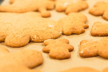 Ginger biscuits lie on a baking sheet. Cookies on baking paper. Selective focus.