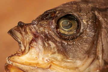 Dried fish on the table.Snack to beer.