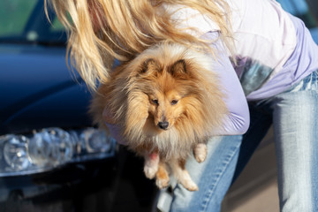 a woman carries an injured dog in front of a car