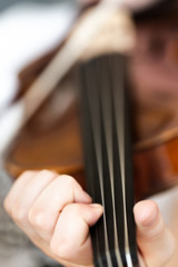 Young girl plays violin. Focus on fingers and strings