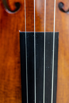 Focus on violin strings over fingerboard body belly
