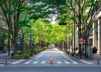 昼下がりの丸の内