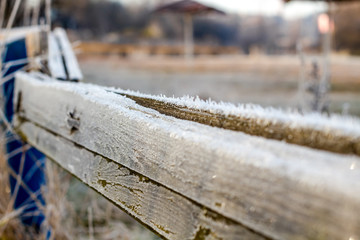 Morning frost on the wood fence
