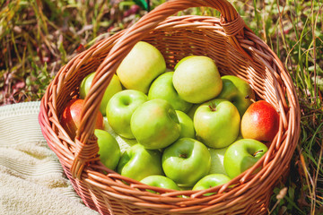 Wicker basket with green apples and red pears on grass.