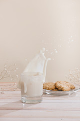 Drinking milk and eating cookie. Pastry organic breakfast.