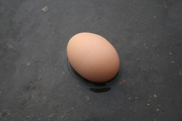 jajko w wodzie © Marta