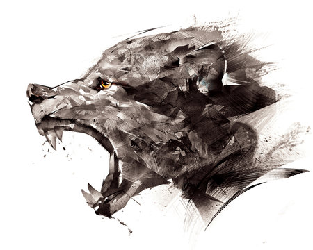 227,987 BEST Wolf IMAGES, STOCK PHOTOS & VECTORS | Adobe Stock