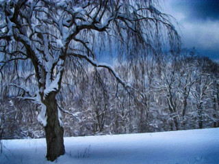 Winter trees