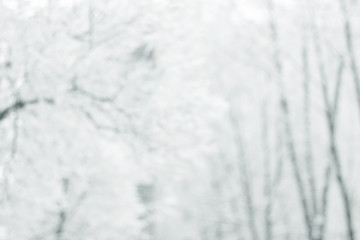 Fototapeta na wymiar blurred image of trees in winter Park