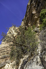 hiking into the canyon 3