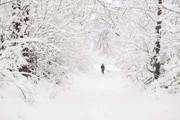 The young man going in the snow-covered park and holding a shovel