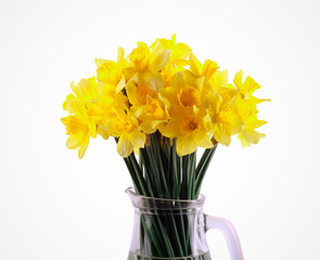 Yellow daffodils in jar