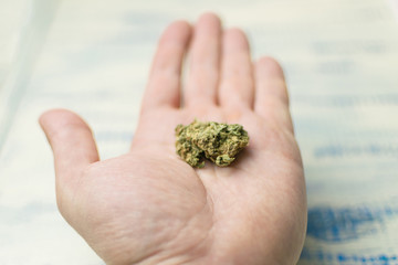 A bud of marijuana on a man's hand.