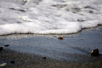 seaside