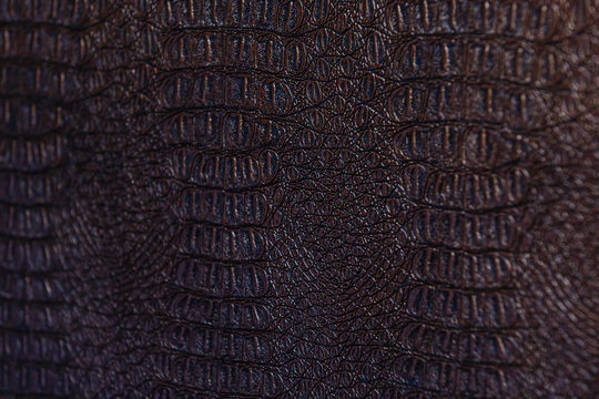 A Crocodile Texture Leather, Dark Brown Background