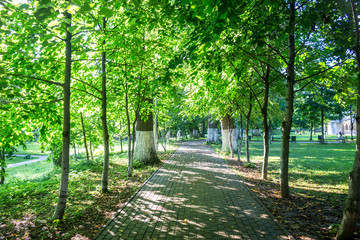 Fototapeta premium Stary park-dwór Belkino letni dzień