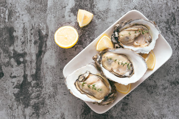 Fresh oysters in a white plate with ice and lemon on a wooden desk