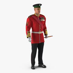 Irish Guard Sergeant on white. 3D illustration