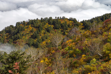 Obraz premium 紅葉と雲海 秋の三方岩岳登山