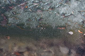 Thin ice in a forest stream