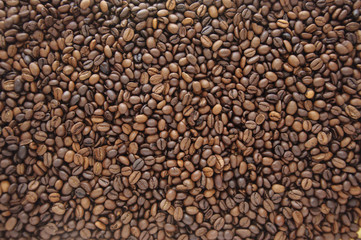 Coffee beans texture