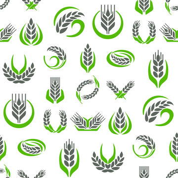 Cereal ears and grains agriculture industry seamless pattern background design vector food illustration organic natural symbol