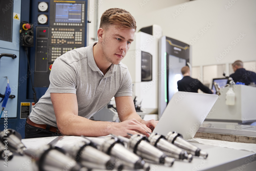 Wall mural male engineer using cad programming software on laptop