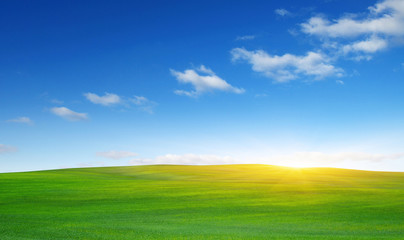 Green field and sun.