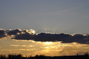 зимний ковыль