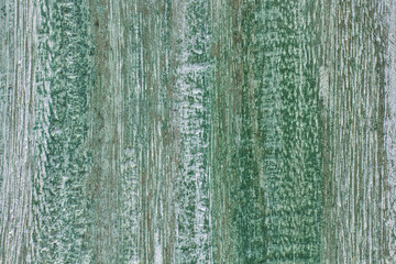 Closeup wooden texture in green and white color
