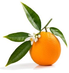 Orange with flower and leaves.
