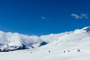 Snowy landscape