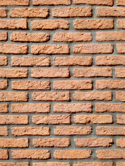 Bricks. Seamless texture with a brick wall.