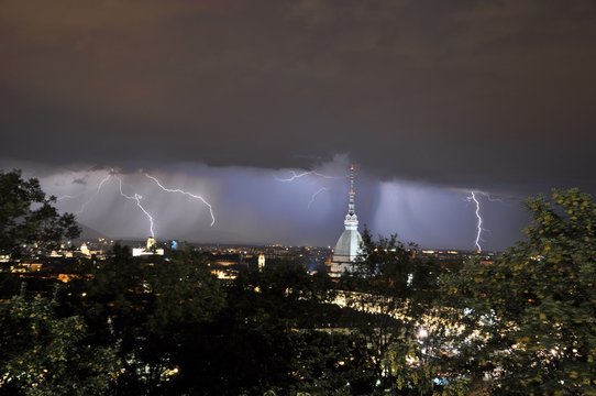 Moleantonelliana