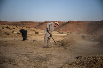 Fototapeten Berberian farmers © tinopepe