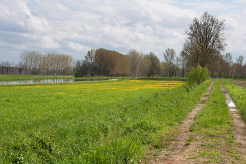 Obraz premium terreno agricolo