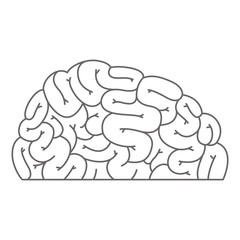 human brain organ icon