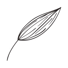 leaf ecology single icon