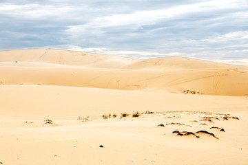 Sunrise at White sand dune, Mui Ne, Vietnam