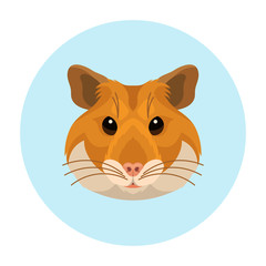 Vector cute hamster face pet icon