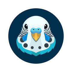 Vector pretty budgerigar parrot head bird icon