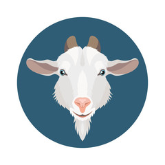 Vector white dairy goat face flat round icon farm animal milk illustration