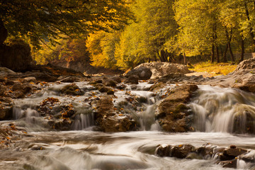 Fototapeta na wymiar Waterfall Kosyvskiy Huk in the Carpathian mountains, Ukraine