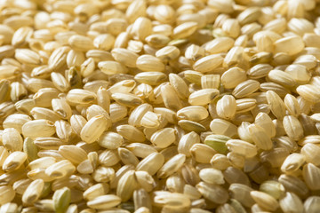 Raw Organic Short Grain Brown Rice