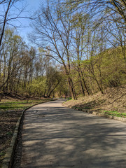 City park in the spring season